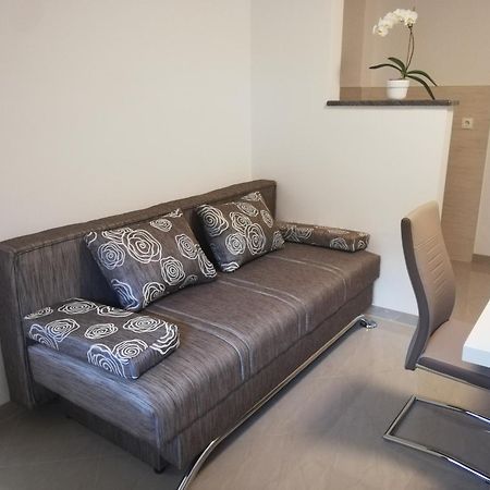 Guesthouse Vesna 塞尼 外观 照片