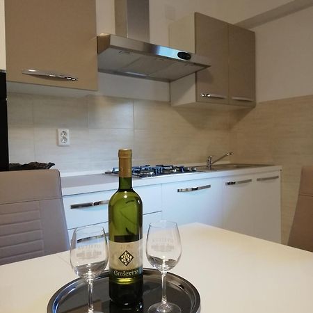 Guesthouse Vesna 塞尼 外观 照片