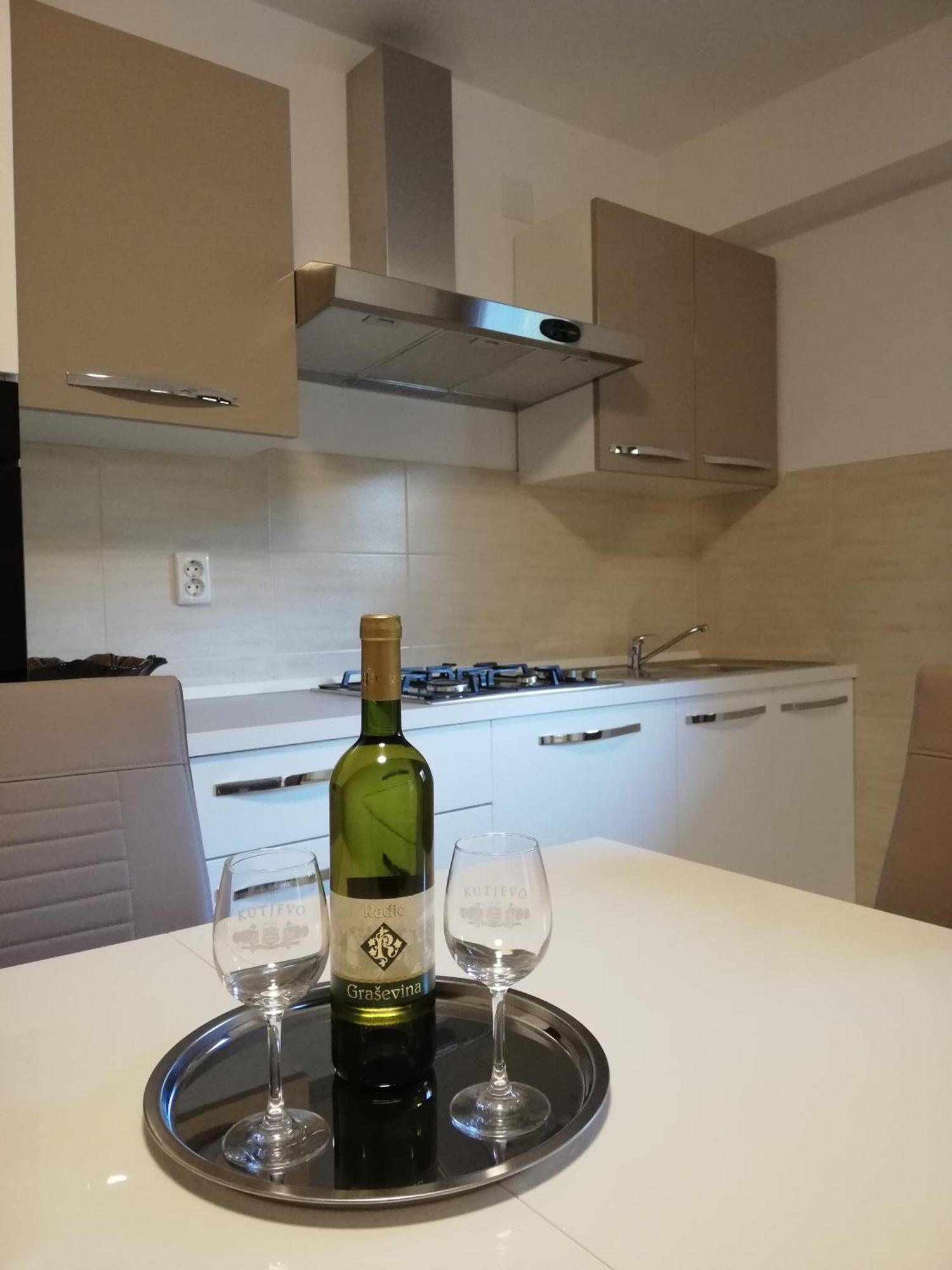Guesthouse Vesna 塞尼 外观 照片